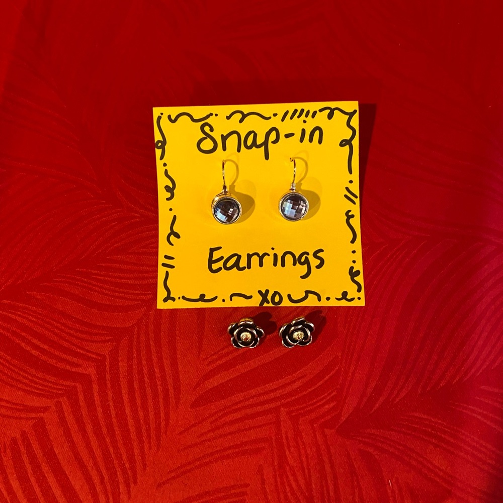 Pair of earrings with interchangeable snap in facing